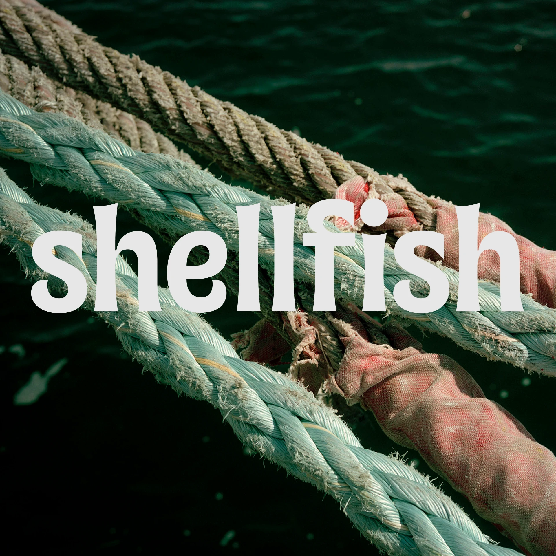 shellfish